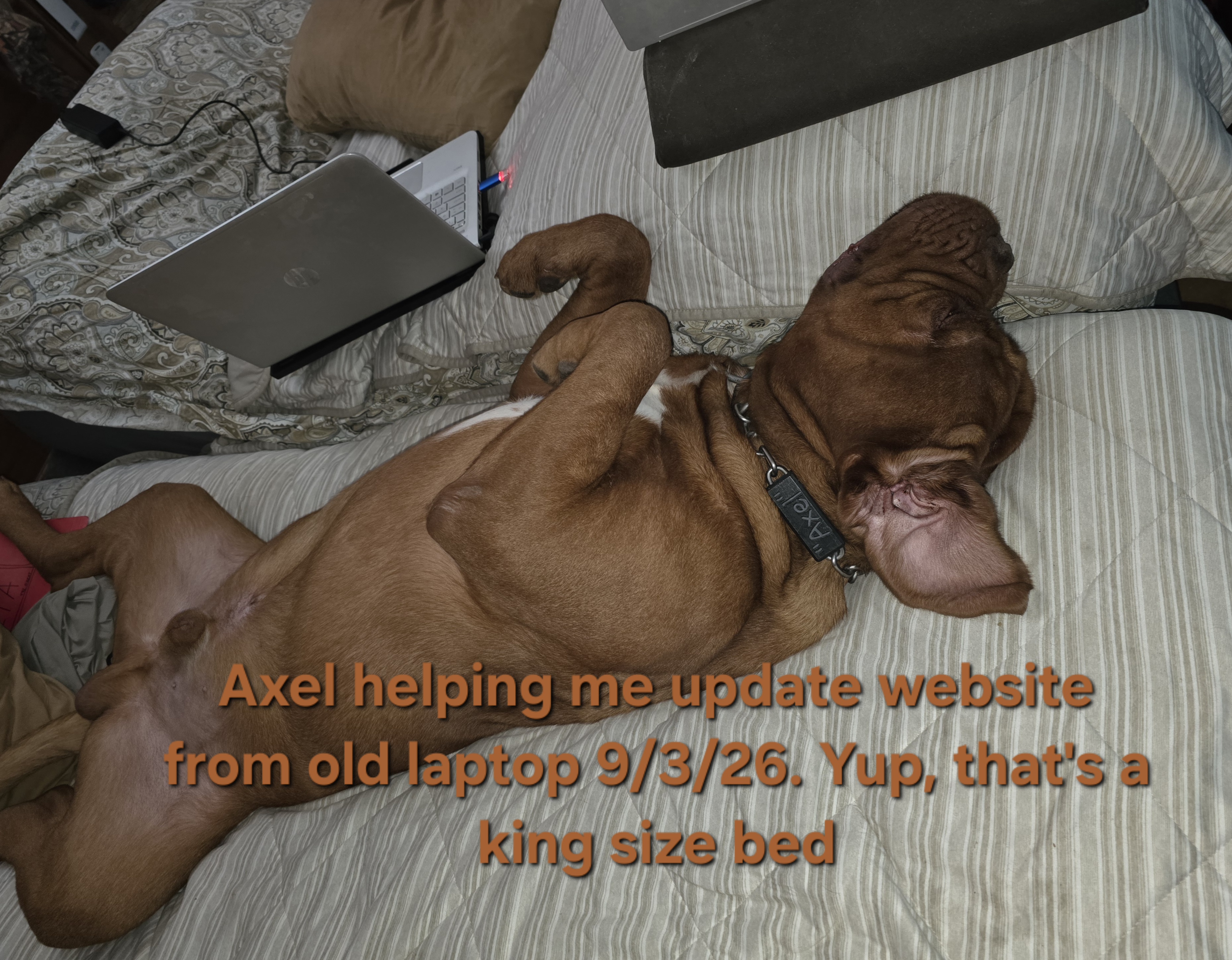ax on bed