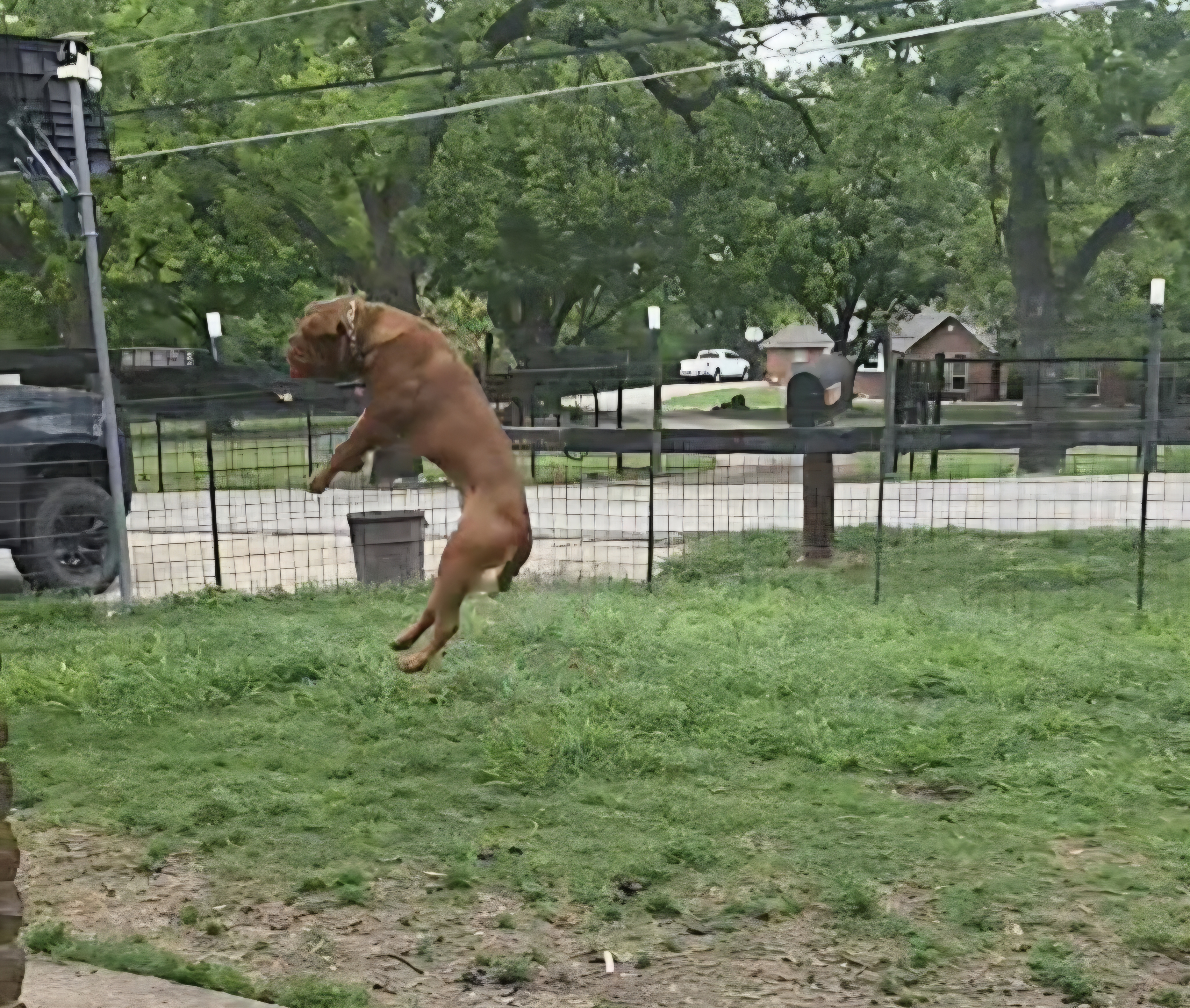 axel flying