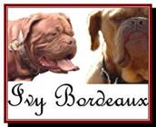 Description: Description: http://www.ivybordeaux.com/pet%20contract_clip_image002.jpg