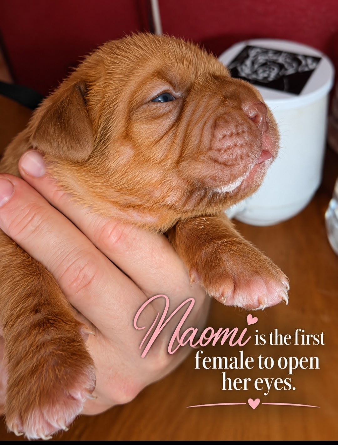 NAOMI OPENS EYES